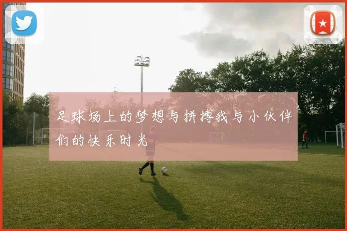 足球场上的梦想与拼搏我与小伙伴们的快乐时光